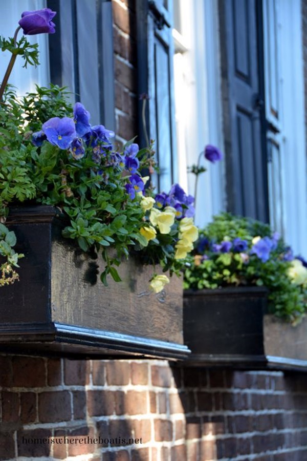 Magical window flower box ideas (4)