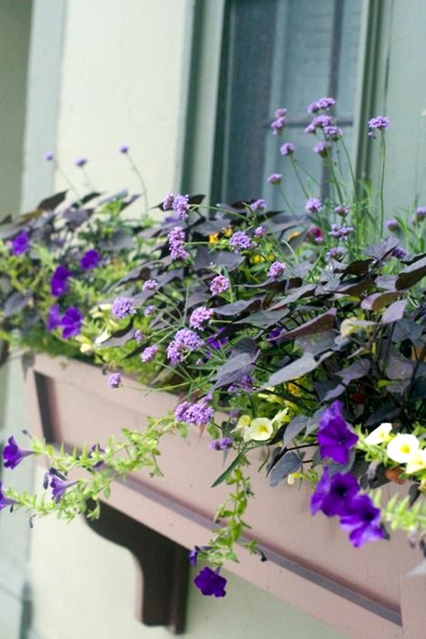 Magical window flower box ideas (40)