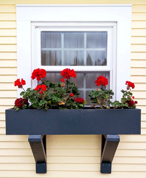 Magical window flower box ideas (5)