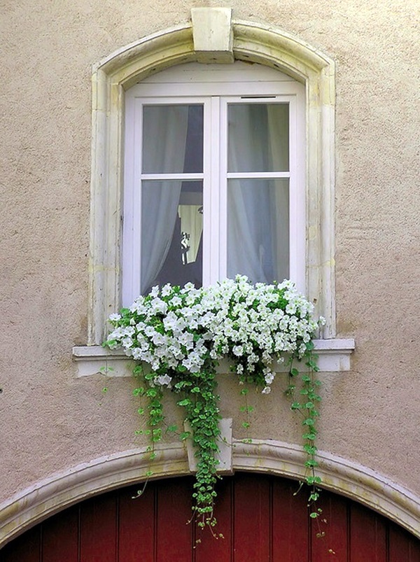 Magical window flower box ideas (6)