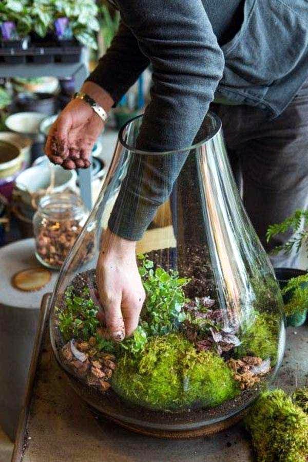 Smart Mini Indoor Garden Ideas (10)