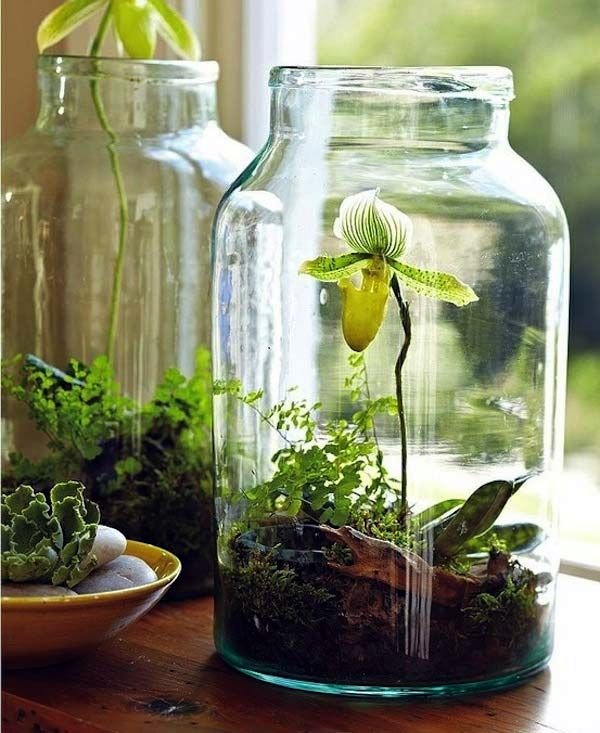 Smart Mini Indoor Garden Ideas (11)