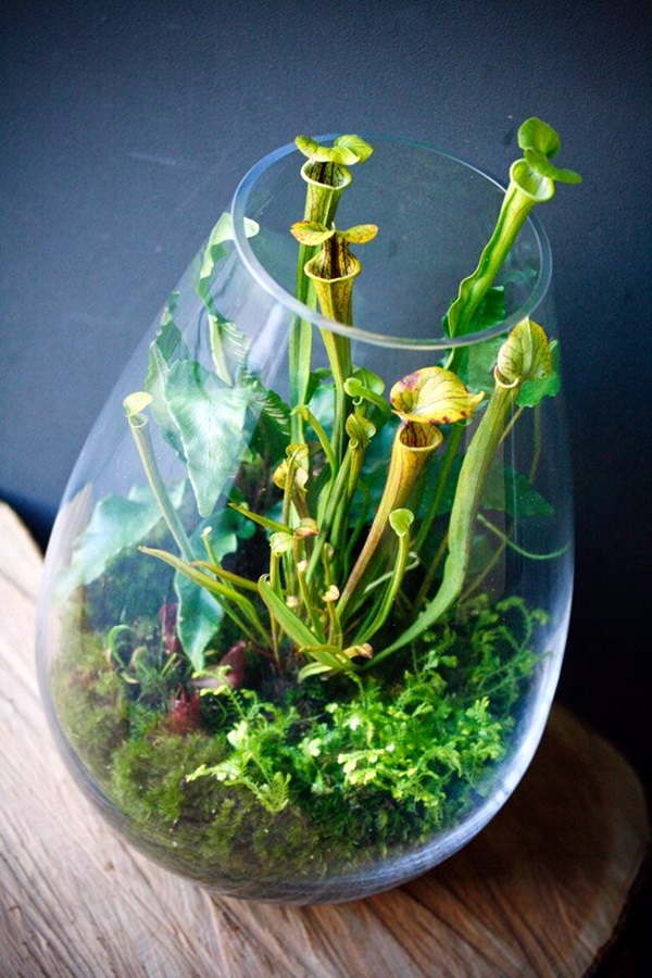 Smart Mini Indoor Garden Ideas (12)