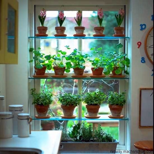 Smart Mini Indoor Garden Ideas (14)