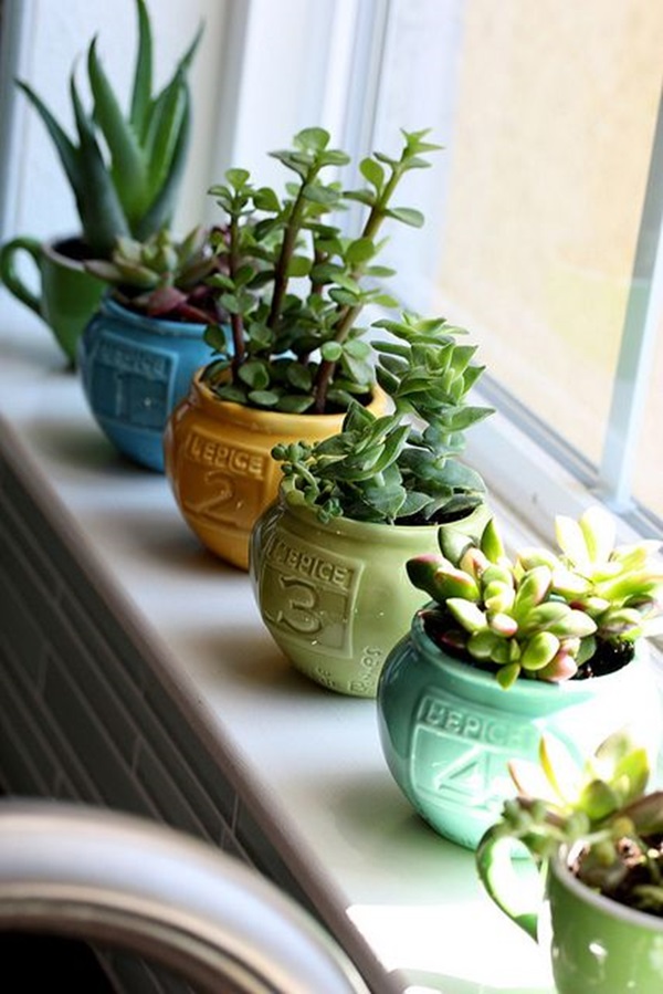 Smart Mini Indoor Garden Ideas (15)