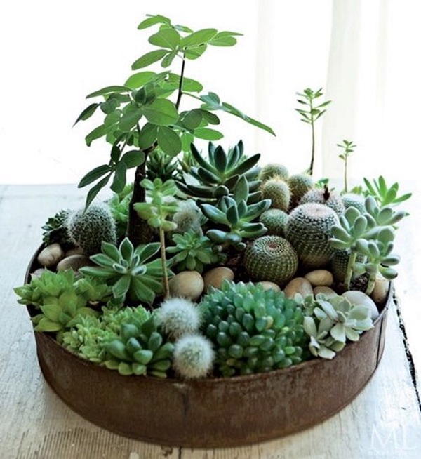 Smart Mini Indoor Garden Ideas (16)