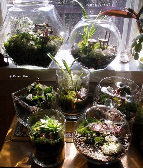 Smart Mini Indoor Garden Ideas (17)