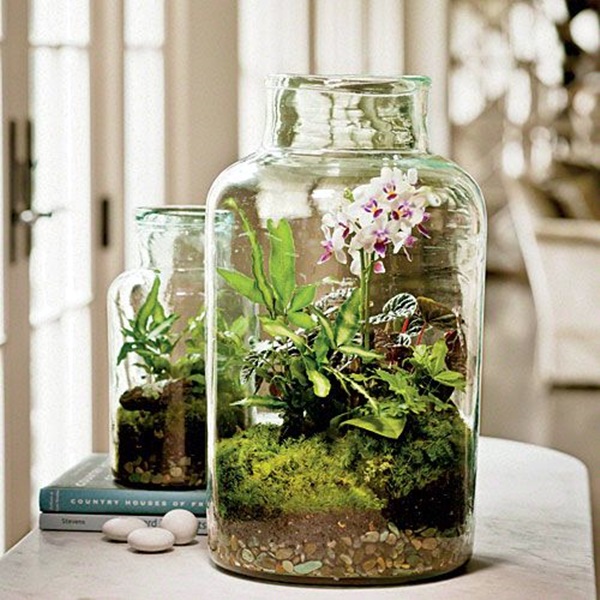 Smart Mini Indoor Garden Ideas (20)