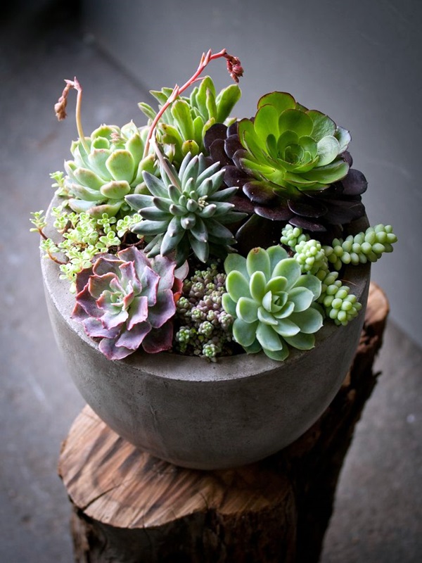 Smart Mini Indoor Garden Ideas (26)