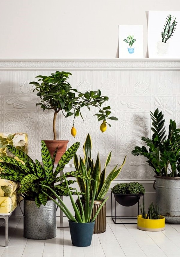 Smart Mini Indoor Garden Ideas (30)