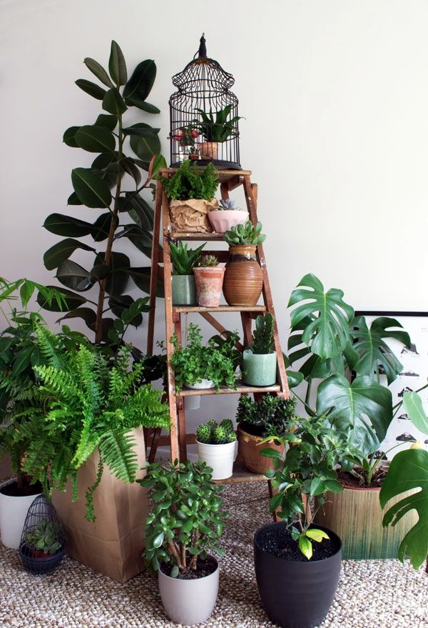 Smart Mini Indoor Garden Ideas (34)