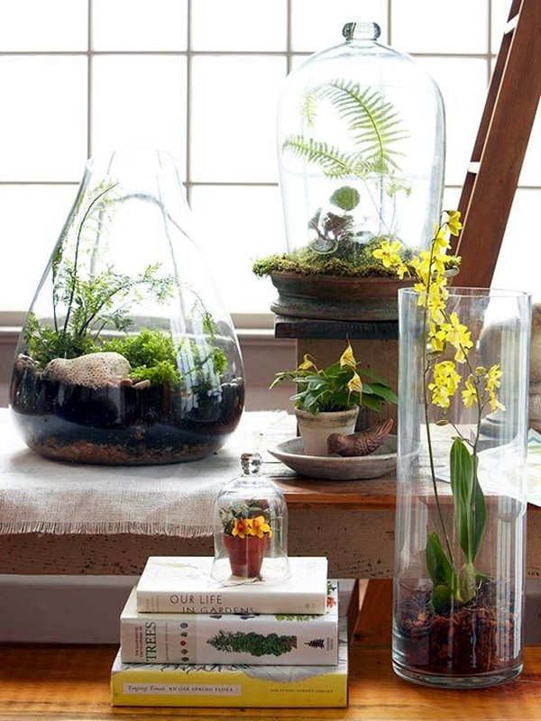 Smart Mini Indoor Garden Ideas (35)