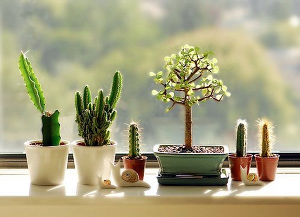 Smart Mini Indoor Garden Ideas (38)