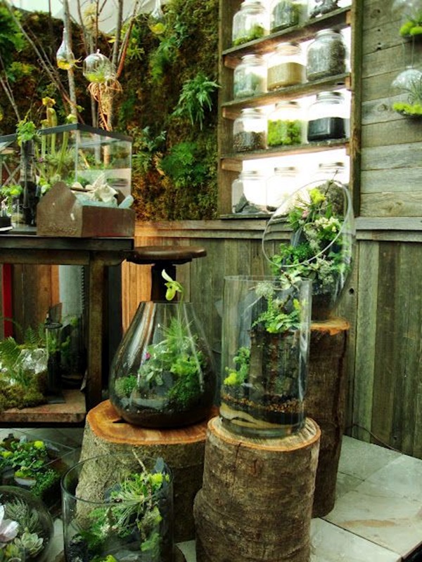 Smart Mini Indoor Garden Ideas (40)