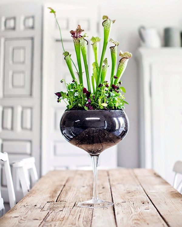 Smart Mini Indoor Garden Ideas (43)