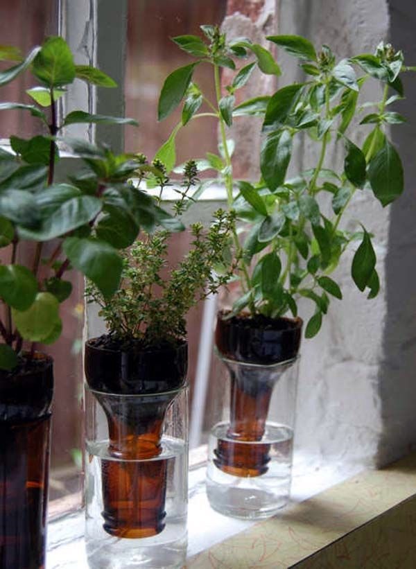 Smart Mini Indoor Garden Ideas (44)