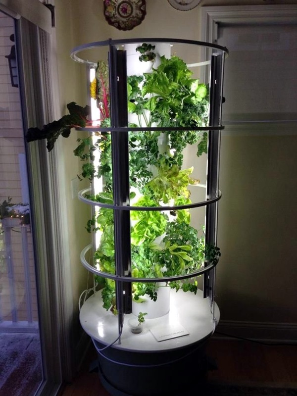 Smart Mini Indoor Garden Ideas (47)