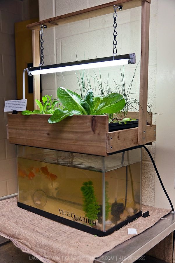 Smart Mini Indoor Garden Ideas (48)