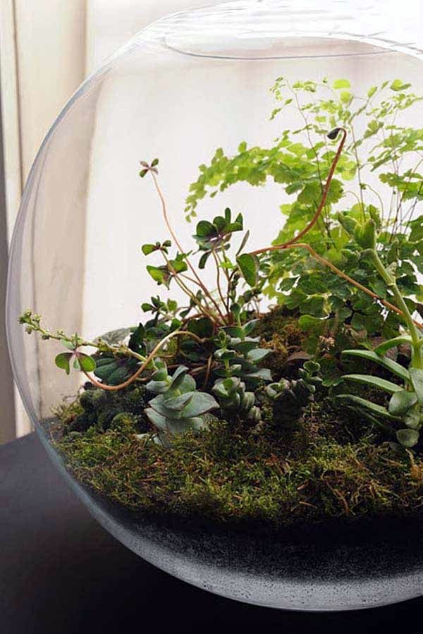 Smart Mini Indoor Garden Ideas (5)