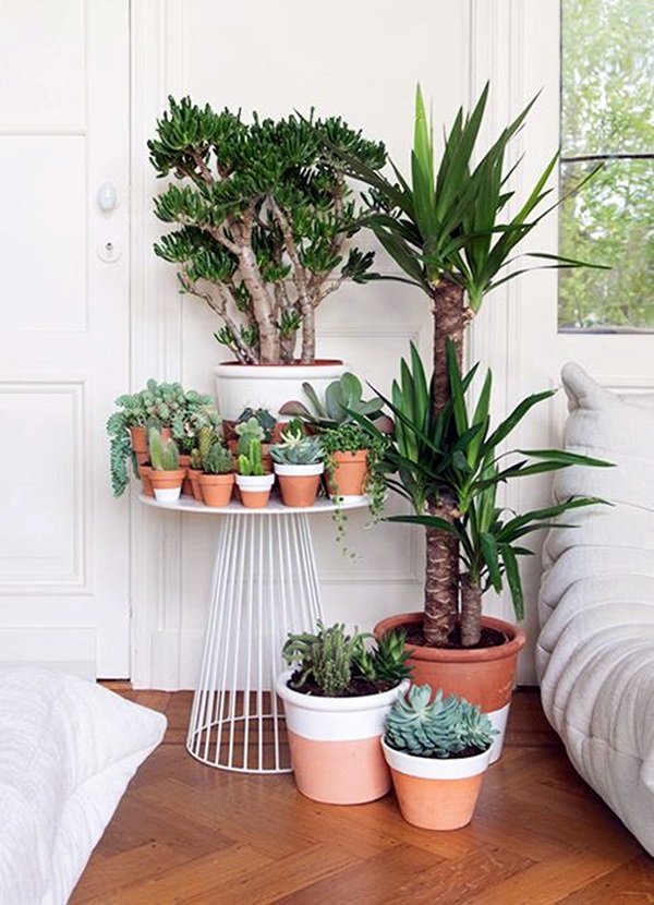 Smart Mini Indoor Garden Ideas (7)