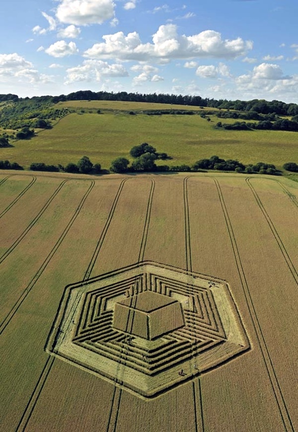 Another World Crop Circle Arts Drawn by Humans (1)