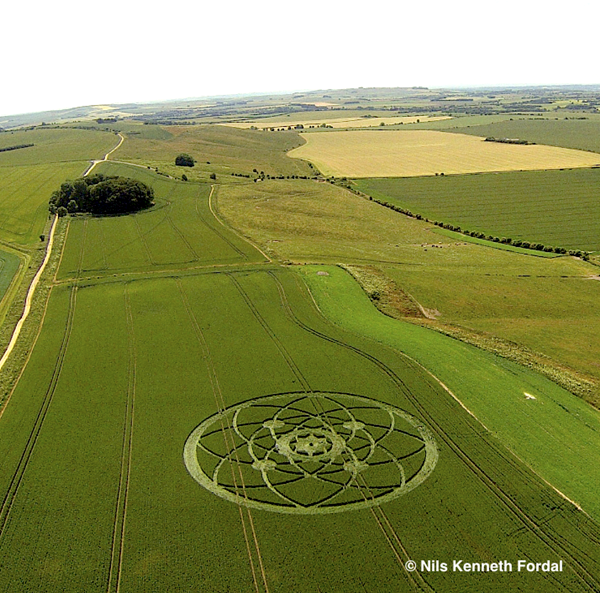 Another World Crop Circle Arts Drawn by Humans (1)