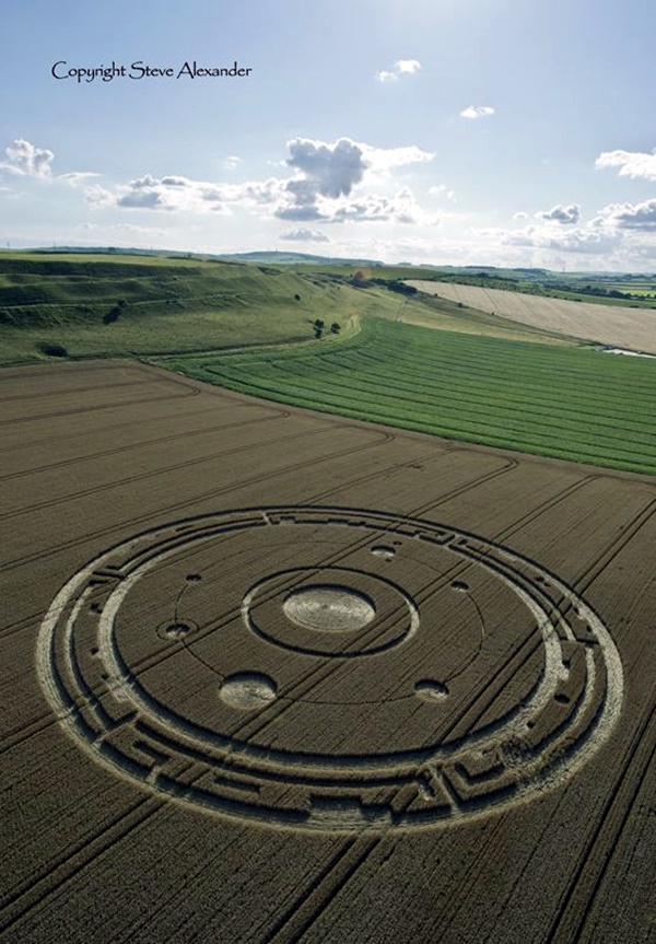 Another World Crop Circle Arts Drawn by Humans (10)