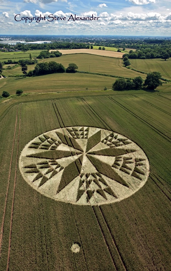 Another World Crop Circle Arts Drawn by Humans (11)