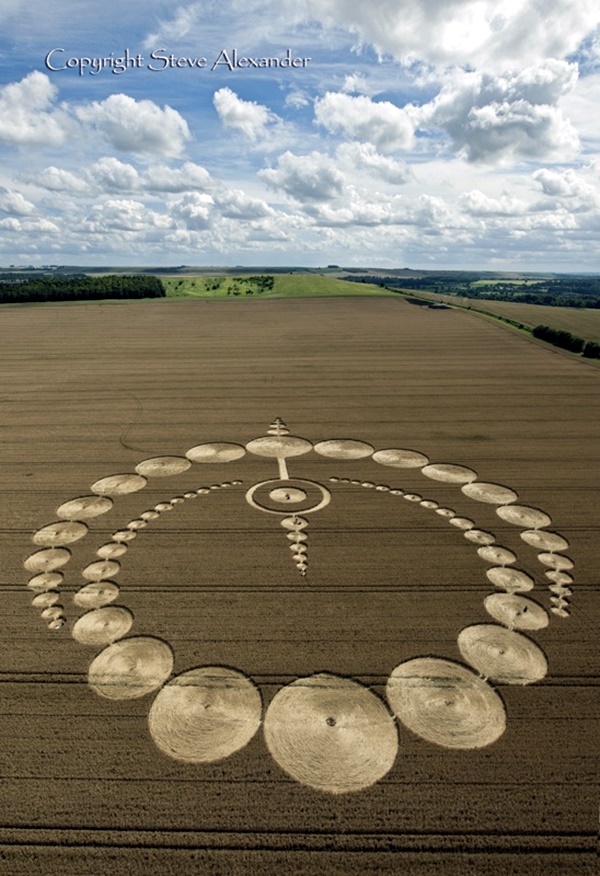 Another World Crop Circle Arts Drawn by Humans (12)