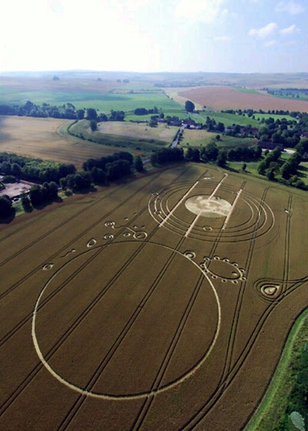Another World Crop Circle Arts Drawn by Humans (13)