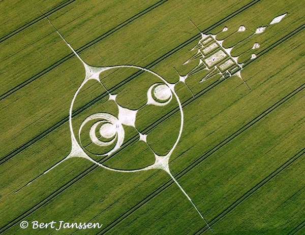 Another World Crop Circle Arts Drawn by Humans (14)
