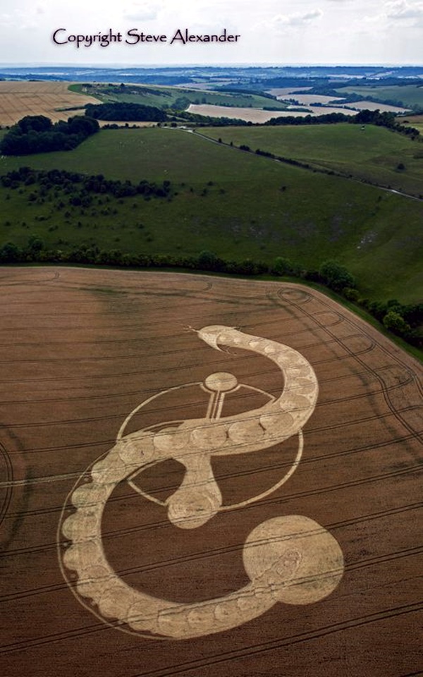 Another World Crop Circle Arts Drawn by Humans (17)