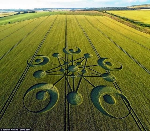 Another World Crop Circle Arts Drawn by Humans (18)
