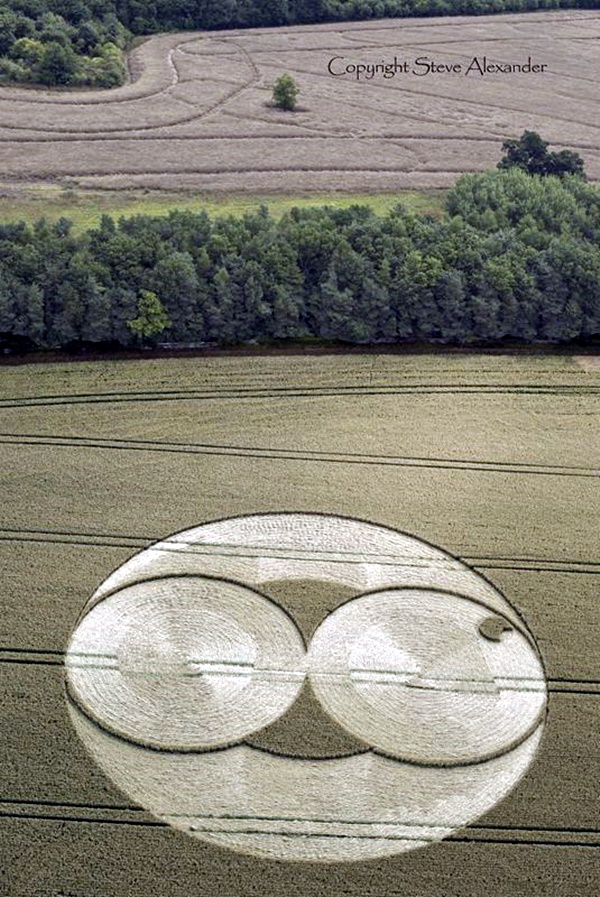 Another World Crop Circle Arts Drawn by Humans (19)