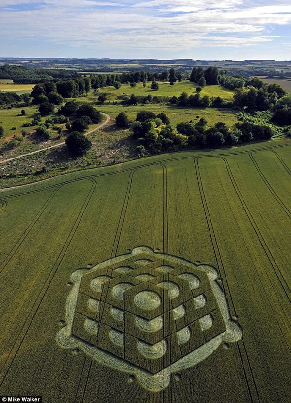 Another World Crop Circle Arts Drawn by Humans (2)