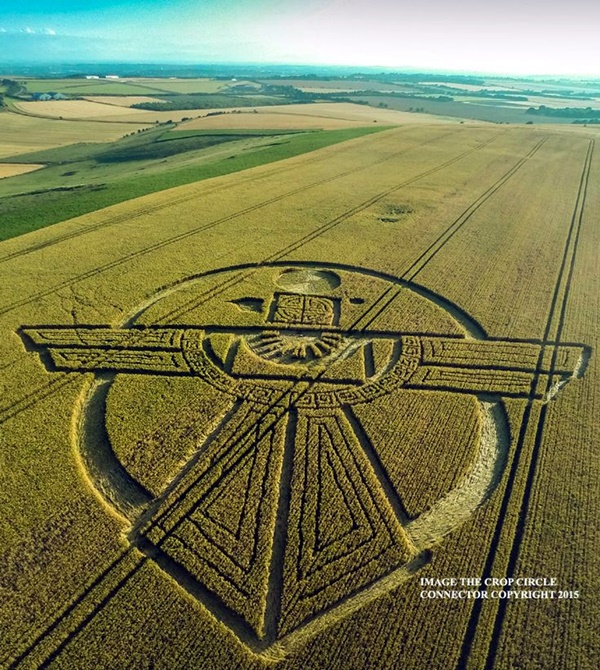 Another World Crop Circle Arts Drawn by Humans (21)