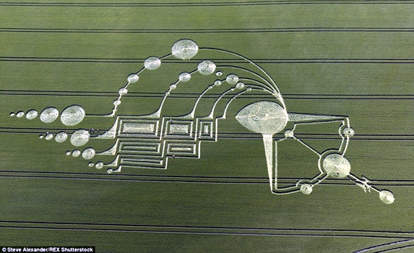 Another World Crop Circle Arts Drawn by Humans (22)