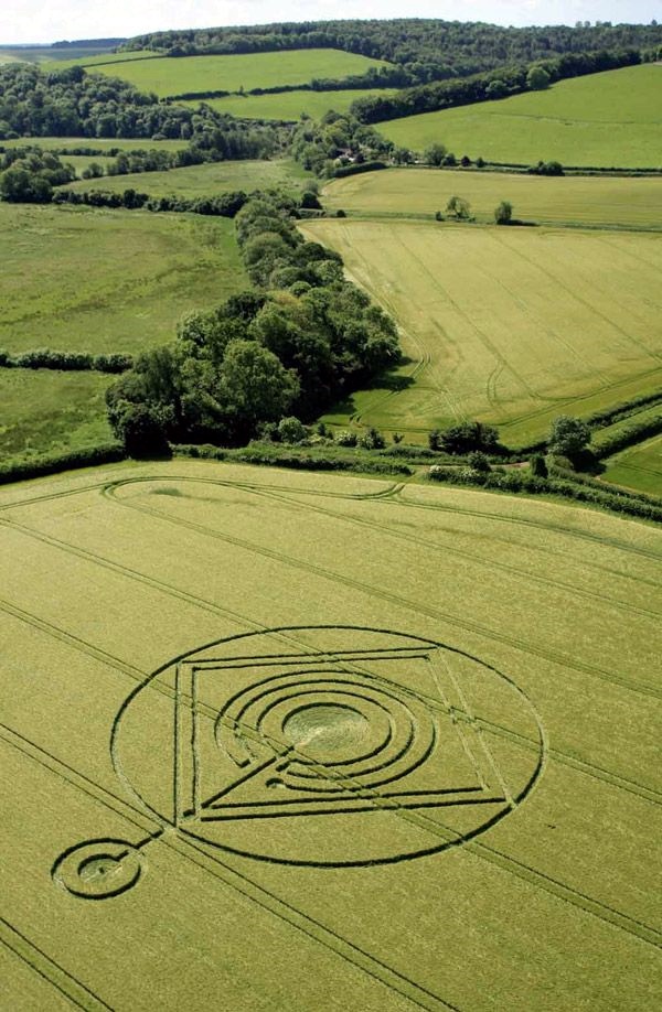 Another World Crop Circle Arts Drawn by Humans (23)