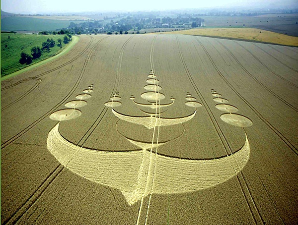 Another World Crop Circle Arts Drawn by Humans (24)