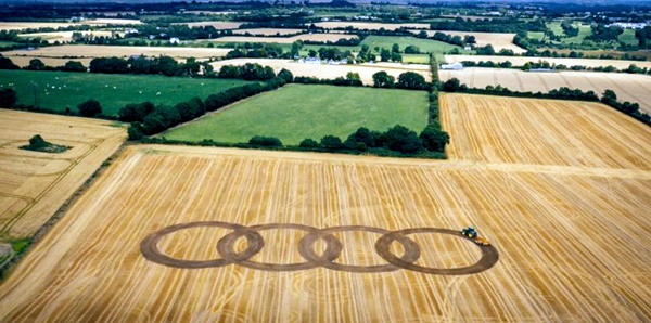 Another World Crop Circle Arts Drawn by Humans (25)