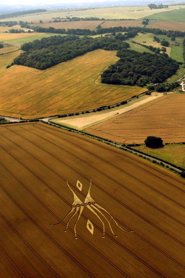 Another World Crop Circle Arts Drawn by Humans (26)