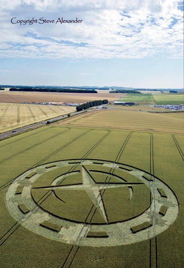 Another World Crop Circle Arts Drawn by Humans (27)