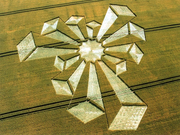 Another World Crop Circle Arts Drawn by Humans (28)