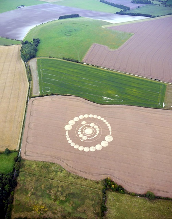 Another World Crop Circle Arts Drawn by Humans (29)