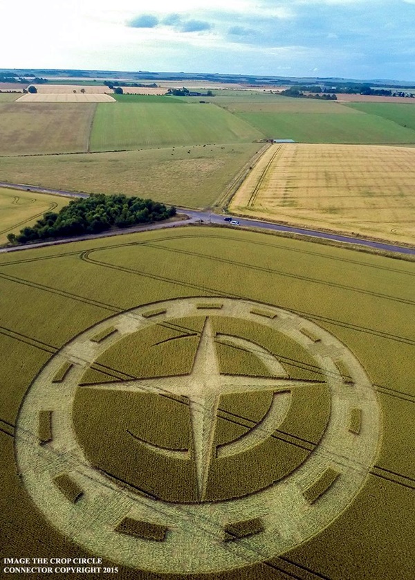 Another World Crop Circle Arts Drawn by Humans (3)