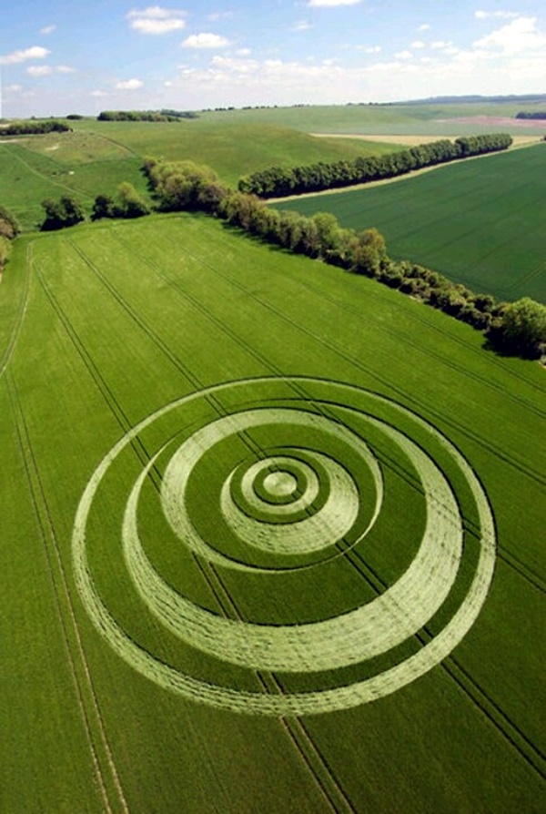 Another World Crop Circle Arts Drawn by Humans (30)