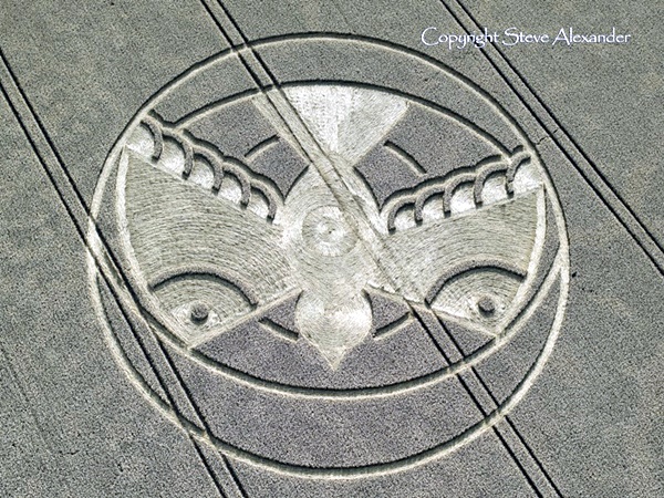 Another World Crop Circle Arts Drawn by Humans (31)