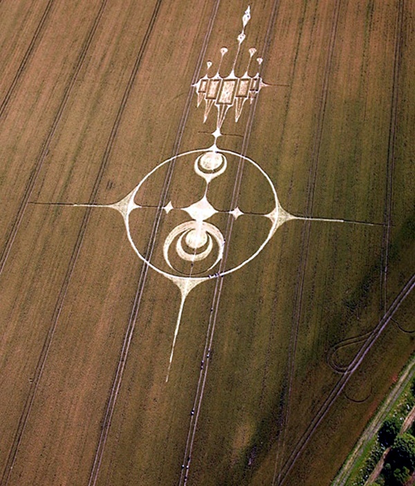Another World Crop Circle Arts Drawn by Humans (32)