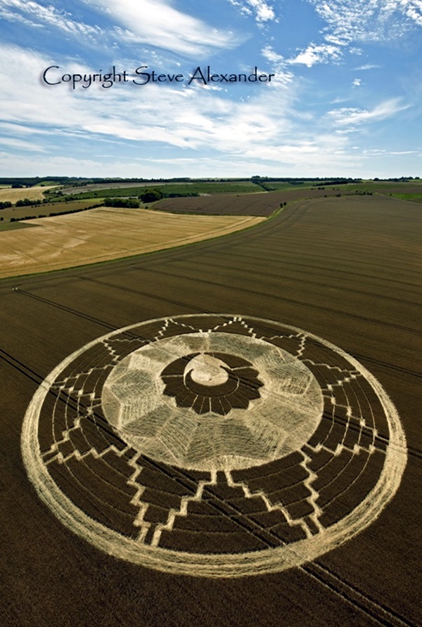 Another World Crop Circle Arts Drawn by Humans (33)