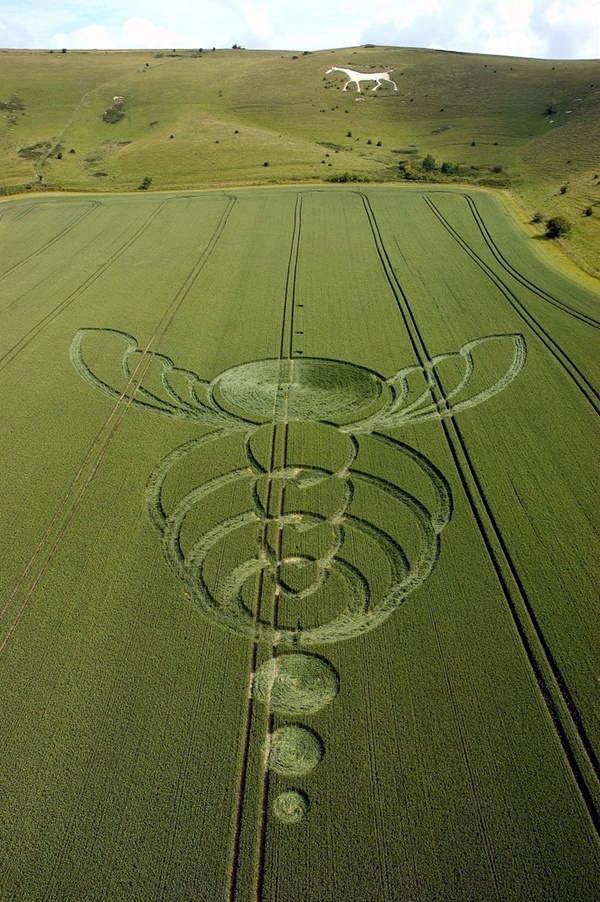 Another World Crop Circle Arts Drawn by Humans (34)